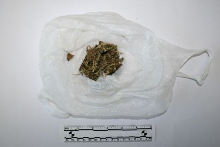 Slika PU_SD/droga1910 a.jpg